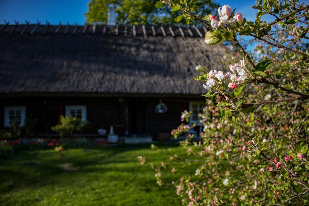 Villa Kuusetuka Tourism Farm Pahkla Exterior foto